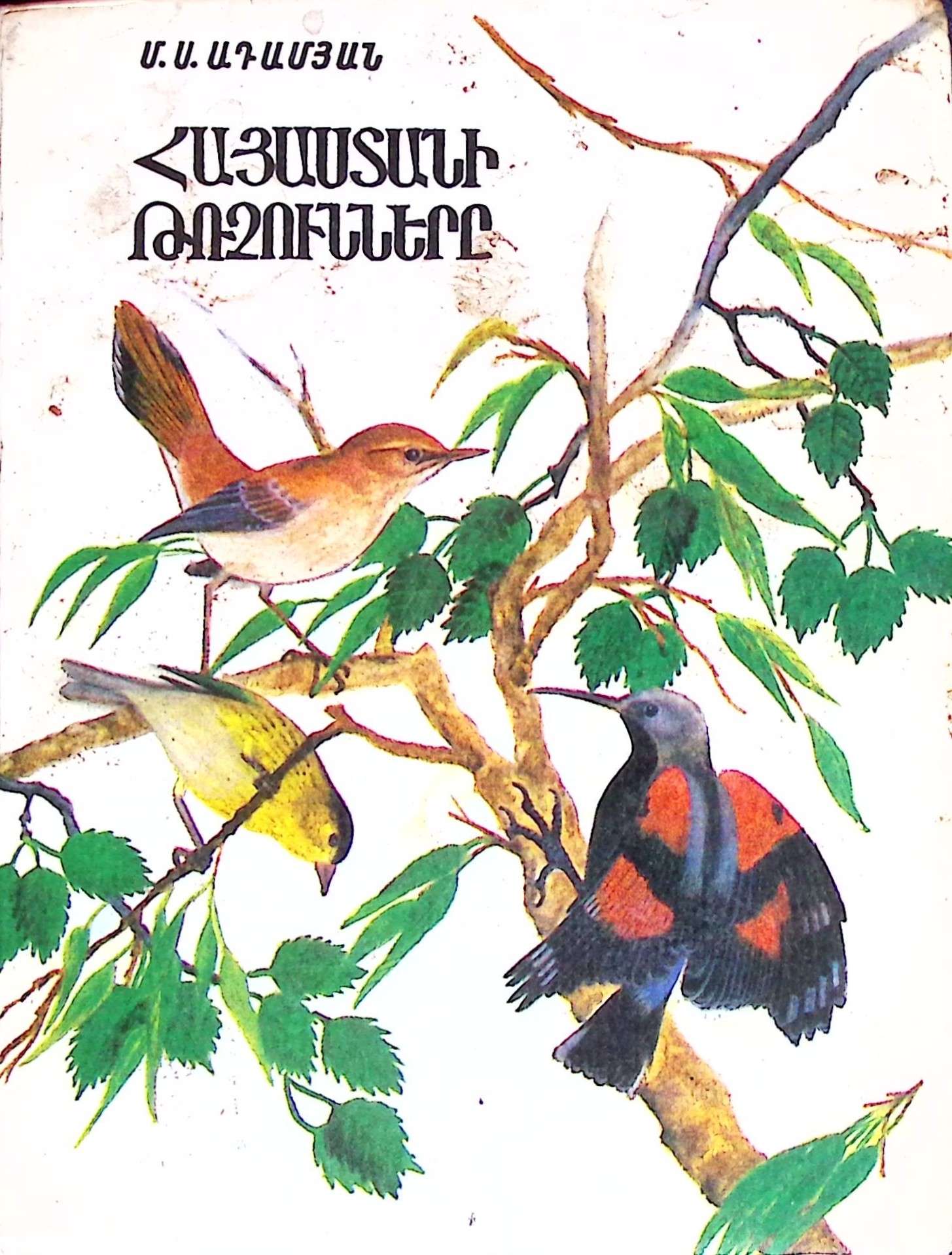 book-image